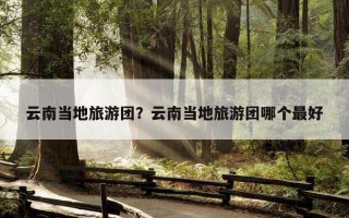 云南当地旅游团？云南当地旅游团哪个最好