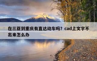 在三亚到重庆有直达动车吗？cad上文字不出来怎么办