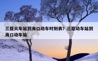 三亚火车站到海口动车时刻表？三亚动车站到海口动车站